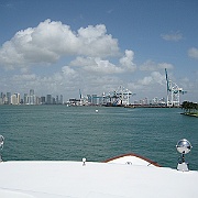 Picture 007